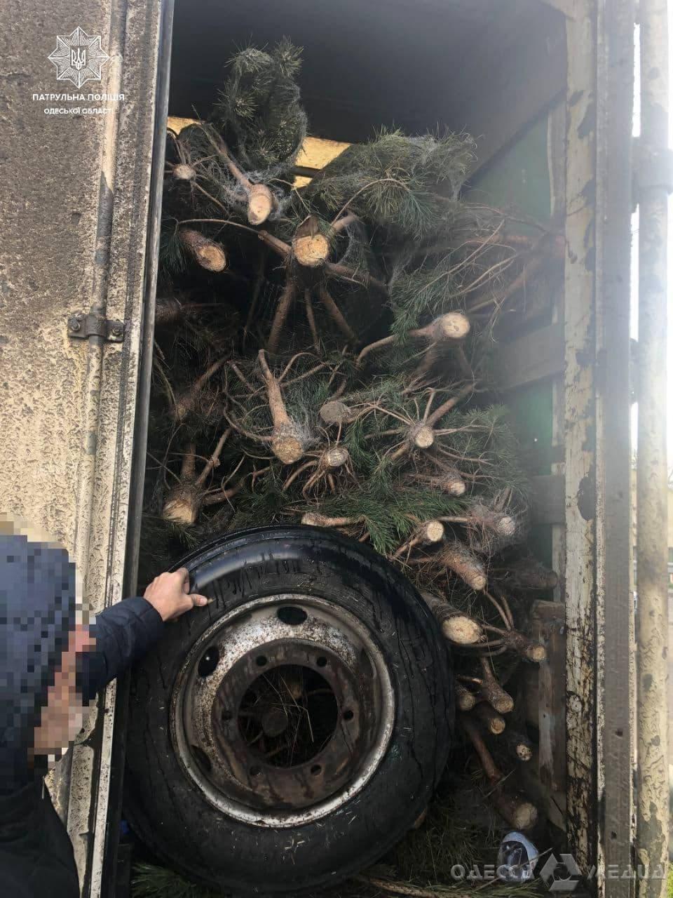 photo 2021 12 22 08 47 31
