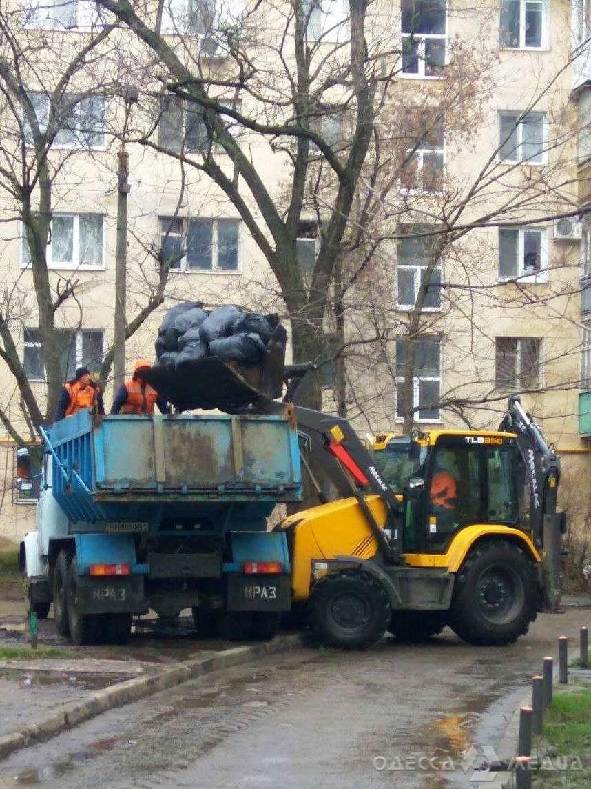 64433