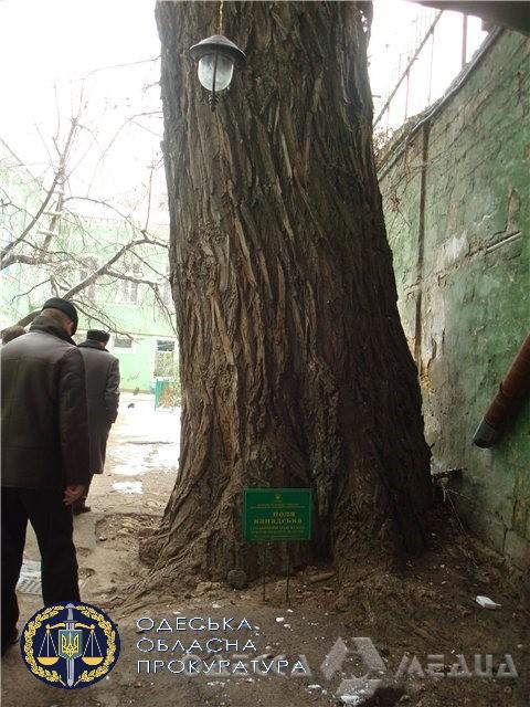 image 20210629161200 3