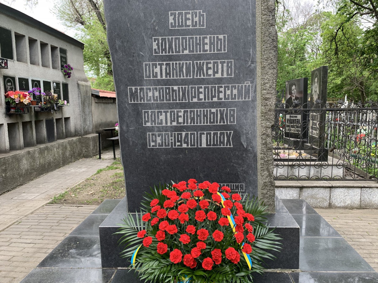 49126.jpg