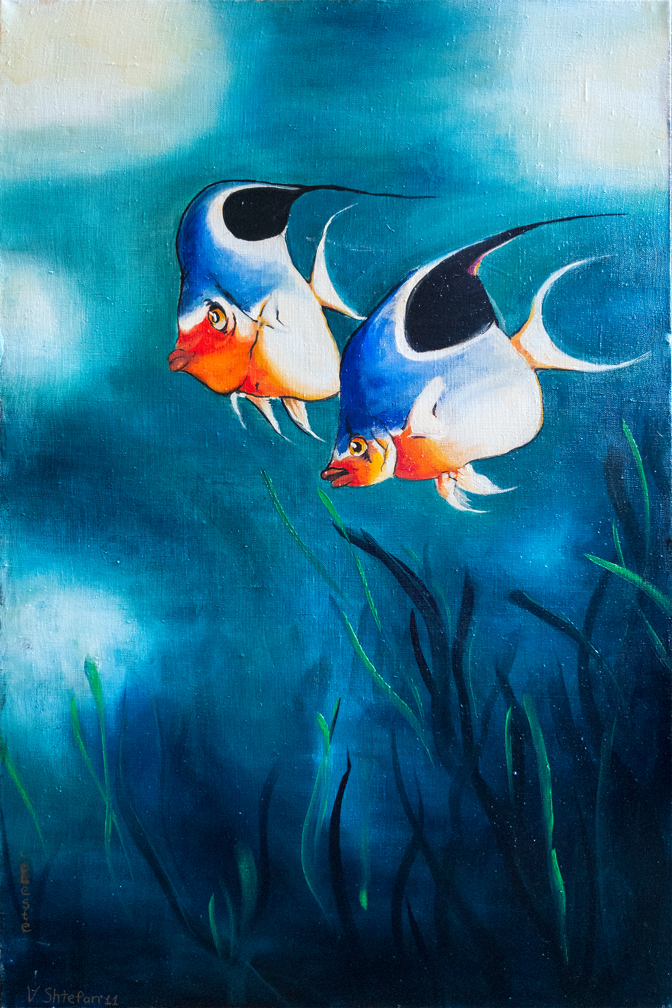angelfish-vs_copy_copy_copy.jpg