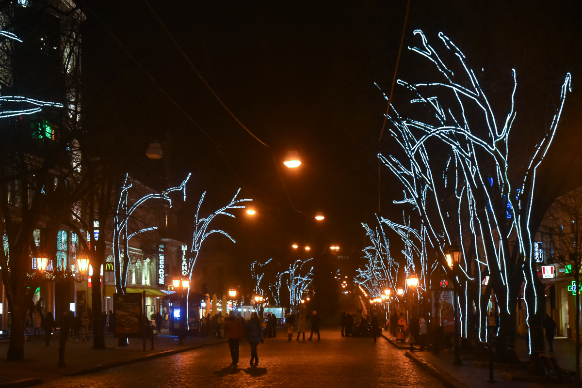 dsc_1044.jpg